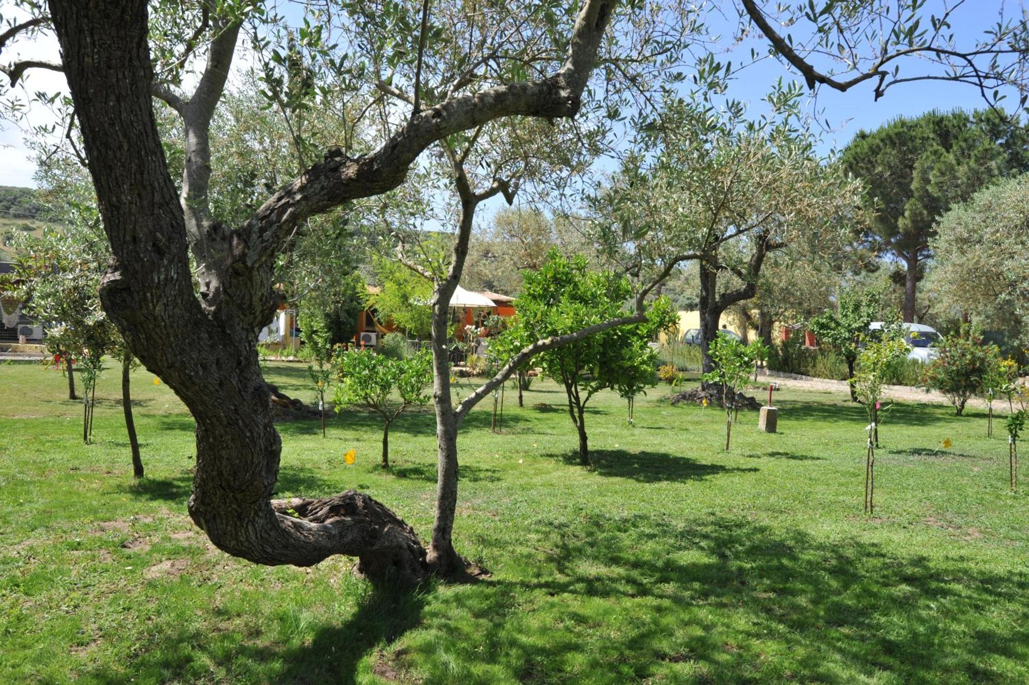 Butterfly House Bed & Breakfast Alghero Exteriör bild