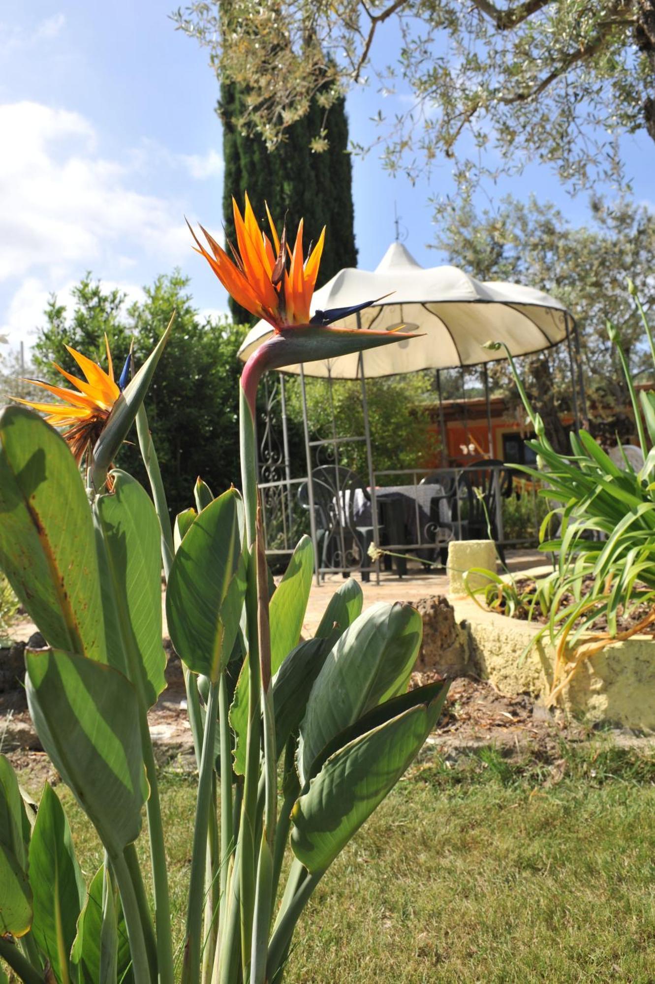 Butterfly House Bed & Breakfast Alghero Exteriör bild
